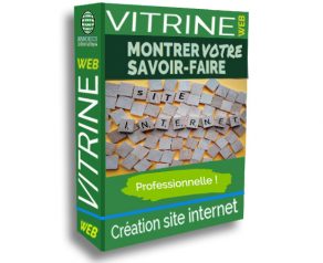 création de site internet avec la pack vitrine de nanotech informatique